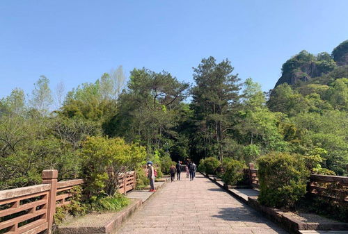 武夷山恢復(fù)開放，全國醫(yī)護人員免費游覽，多項優(yōu)惠政策助力旅游業(yè)復(fù)蘇