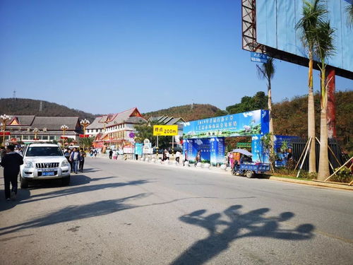 勐?？h市場(chǎng)監(jiān)督管理局強(qiáng)化2019年首屆打洛口岸工藝品展銷會(huì)及旅行社服務(wù)監(jiān)管