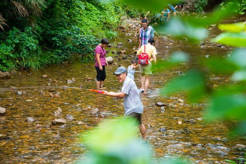 景區(qū)運(yùn)營推廣的隱形盲區(qū) 被忽視的游覽過程管理