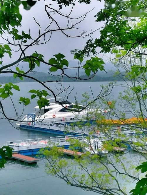 五一出游注意 安徽4A級(jí)及以上景區(qū)全部預(yù)約，旅行社服務(wù)網(wǎng)點(diǎn)規(guī)范招徠